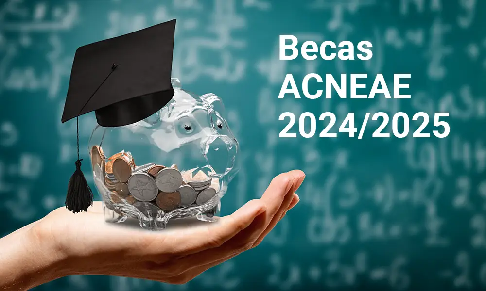 Becas alumnado ACNEAE 2024-2025