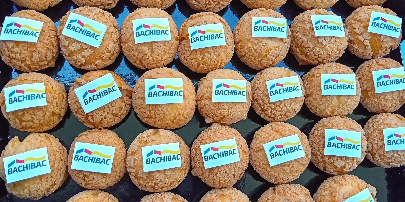 bachibac ies pal